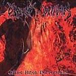 Violent Devoties : Grind Bitch Perversions